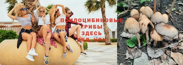 бошки Няндома