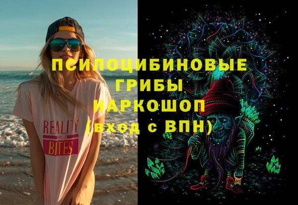 бошки Няндома