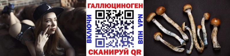 цена наркотик  ОМГ ОМГ маркетплейс  Галлюциногенные грибы мицелий  Анжеро-Судженск 
